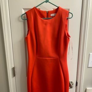 Calvin Klein Size 8 pink midi dress